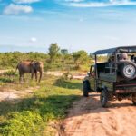 Jim Corbett